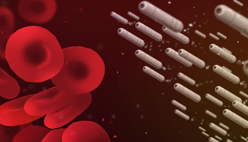 应用纳米技术的生活用品_纳米技术日常生活应用_纳米技术生活应用