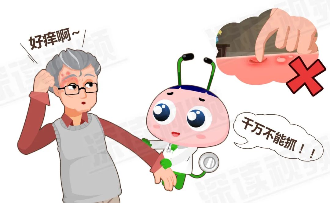 病毒带状疱疹水痘几天能好_水痘病毒 带状疱疹·_病毒带状疱疹水痘会传染吗