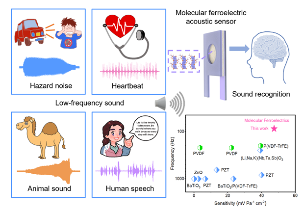 pg下载通道 科研动态 | 邹贵付教授团队AM：分子铁电体用于低频声音识别的高灵敏度检测