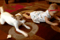 游戏人专题_游戏.人_游戏活动专题