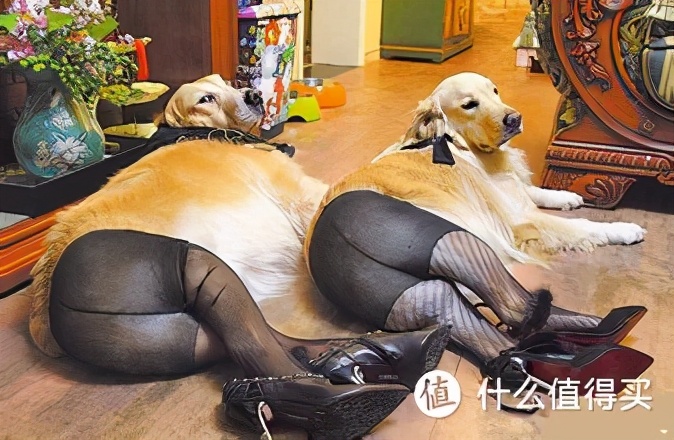 丝袜特殊用途_丝袜生活妙用_偷老师的丝袜贴吧