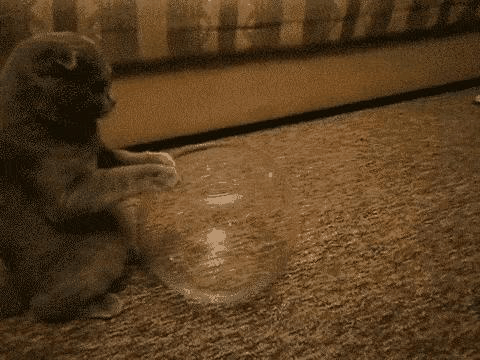 pg下载 牛顿棺材板压不住时，请祭出此物防身！