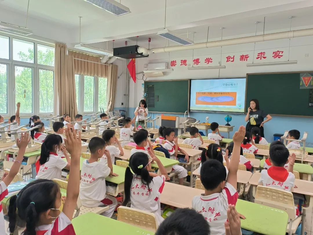 应用挂载器原理_听诊器原理生活应用_数学应用题解答器