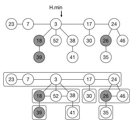 斐波那契数列在自然界中的体现_花朵斐波那契数列_斐波那契数列生活应用