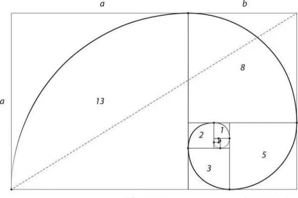 斐波那契数列生活应用_斐波那契数列与天体运动周期_斐波那契数列与玛雅历法
