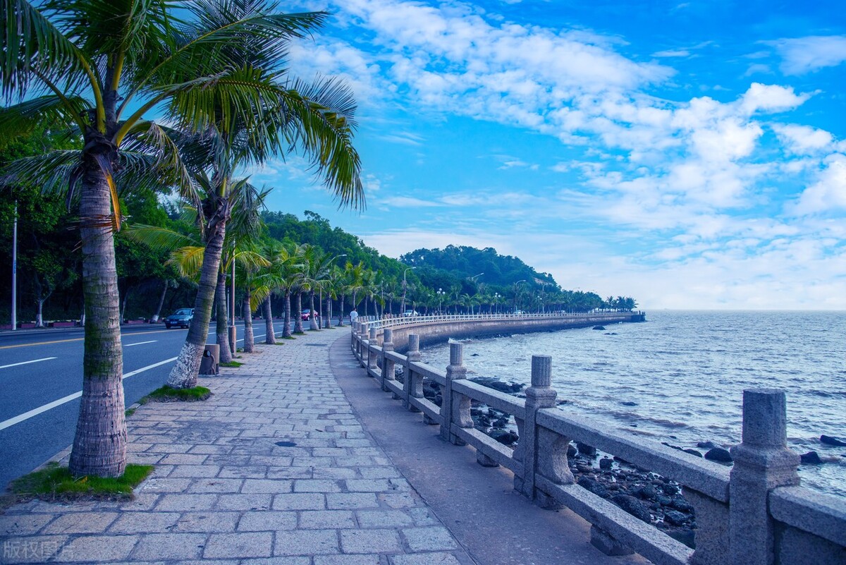 遗忘mv_遗忘的时候_所有遇见终将遗忘