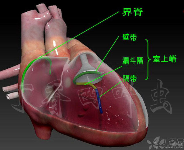 虫哥个人资料_虫哥原创作品_虫哥说图系列5