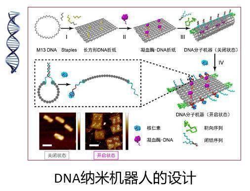 纳米材料安全性研究_纳米科技应用_纳米技术生活应用
