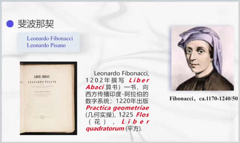 大自然的隐秘技能:神奇的Fibonacci数列