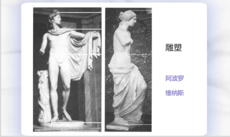 大自然的隐秘技能:神奇的Fibonacci数列