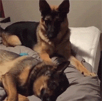 暗恋期情人节礼物推荐_情人节礼物挑选原则_pp空间情人节