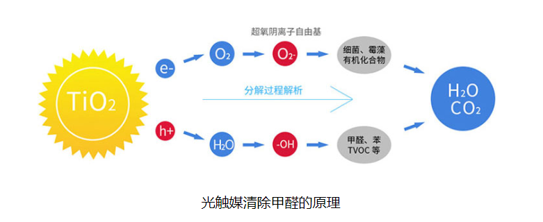 纳米技术会有怎样的应用？