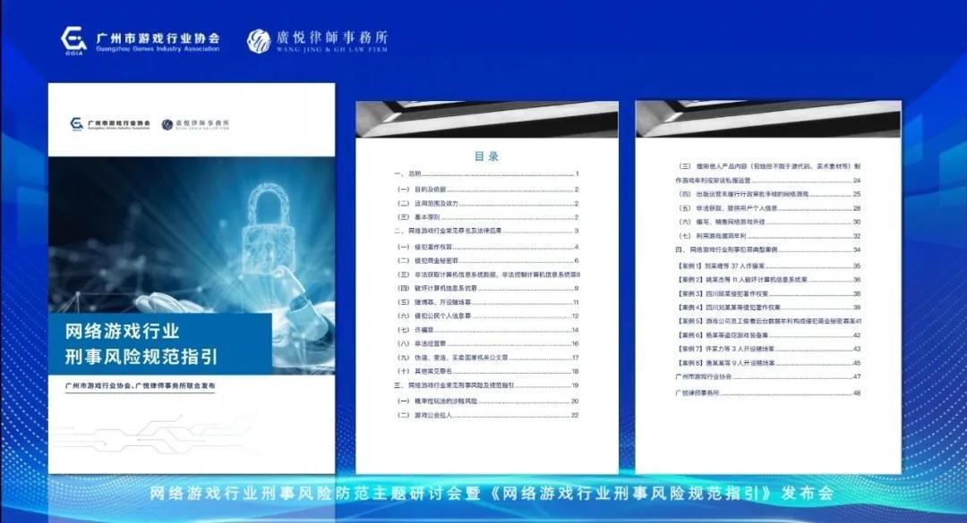 网络游戏行业刑事风险防范_网络游戏行业刑事风险规范指引发布_实务专题 游戏网站设计