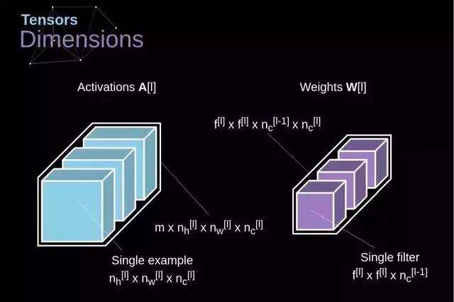 卷积在生活应用_卷积神经网络工作原理详解_卷积神经网络数学原理