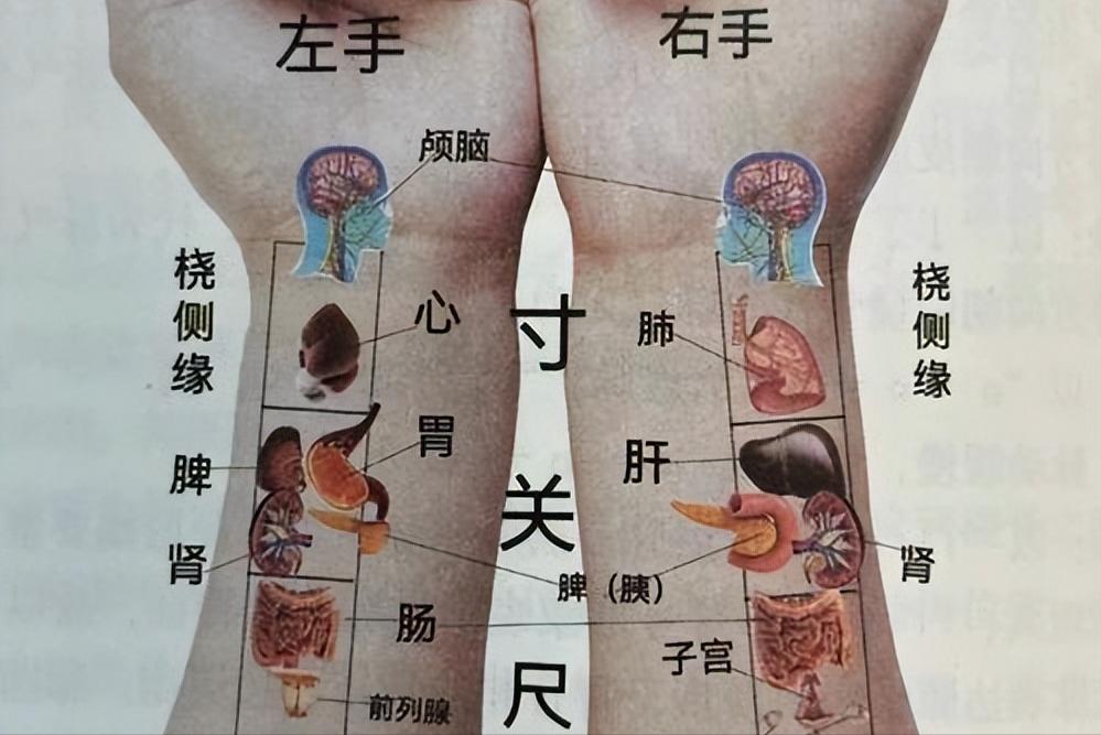 把脉诊断疾病方法_中医把脉原理_听诊器原理生活应用
