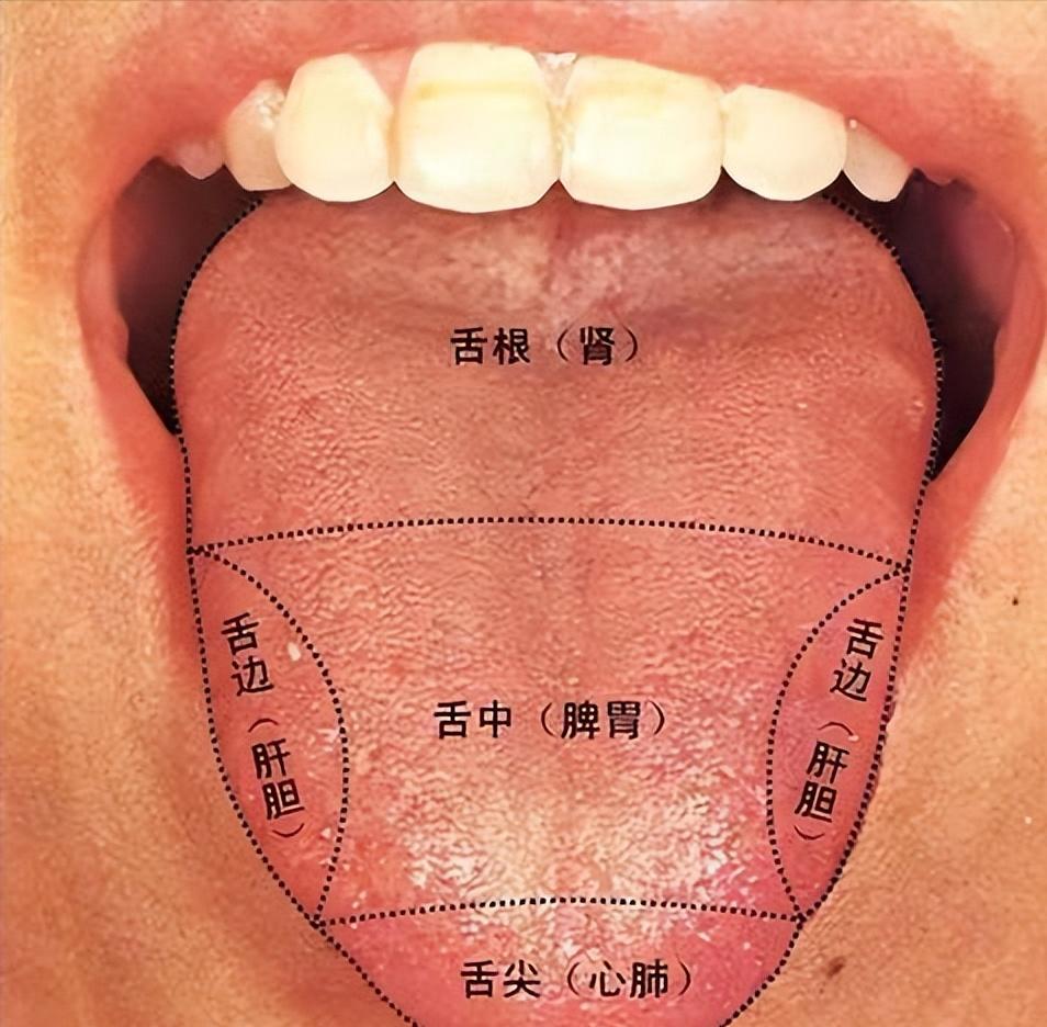 听诊器原理生活应用_中医把脉原理_把脉诊断疾病方法