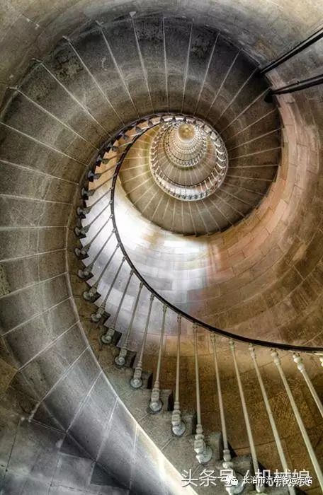 斐波那契数列生活应用_斐波那契数列生活中的例子_斐波那契数列应用题