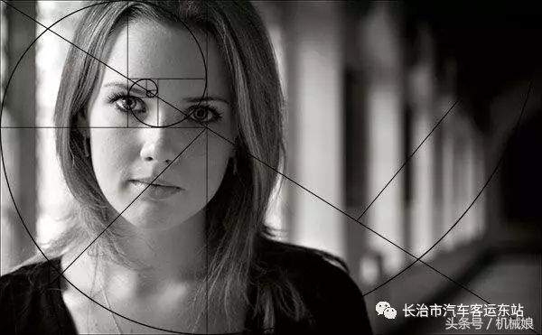 斐波那契数列应用题_斐波那契数列生活中的例子_斐波那契数列生活应用