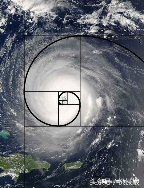 斐波那契数列应用题_斐波那契数列生活中的例子_斐波那契数列生活应用