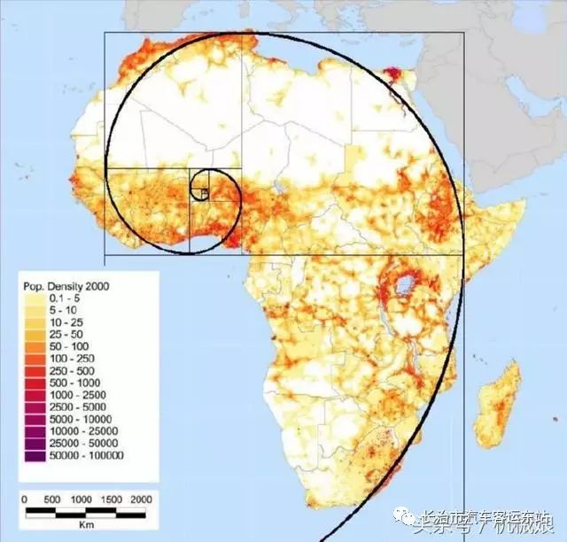 斐波那契数列生活中的例子_斐波那契数列应用题_斐波那契数列生活应用