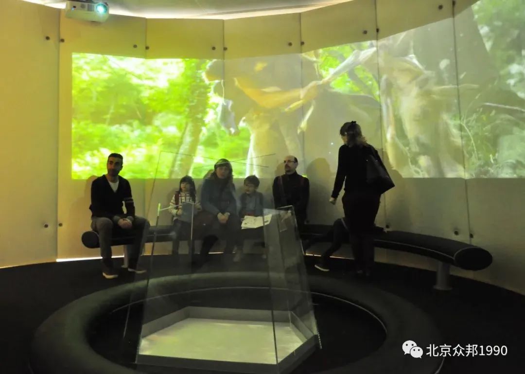 锥体上滚的实验现象_锥体上滚的实际应用_椎体上滚生活应用