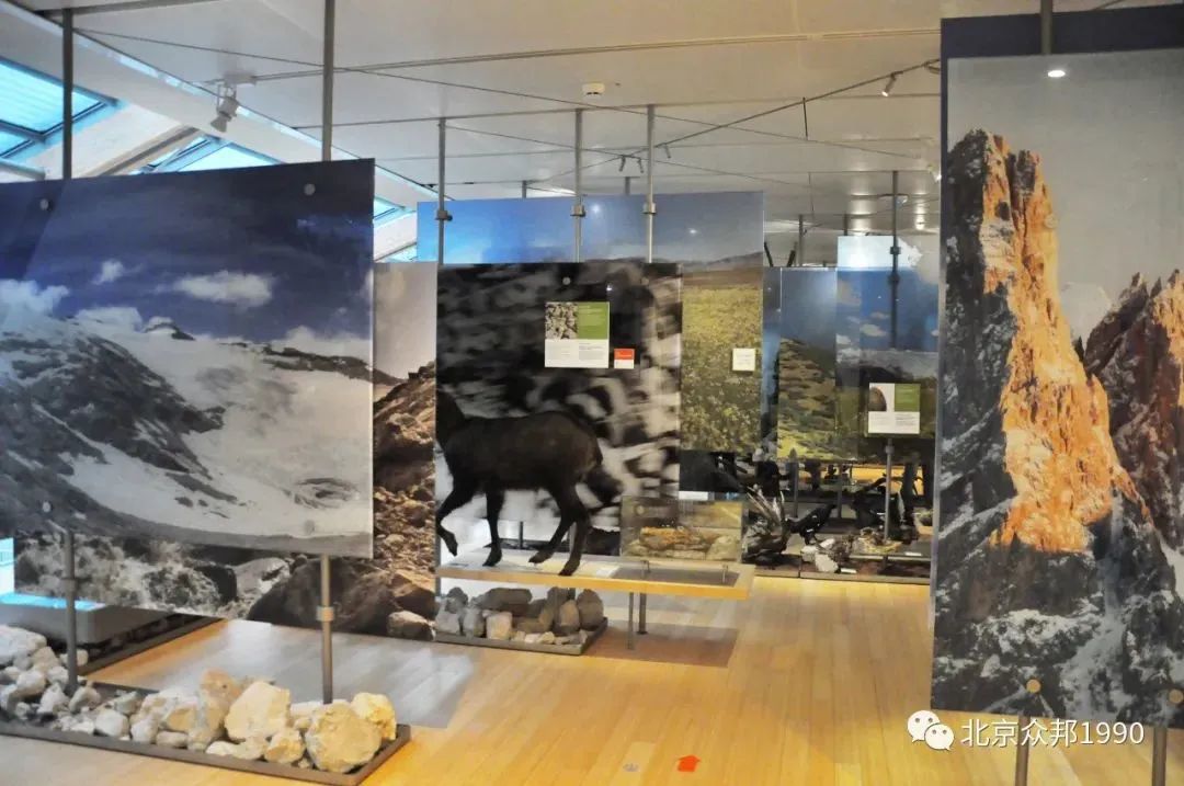 锥体上滚的实际应用_锥体上滚的实验现象_椎体上滚生活应用