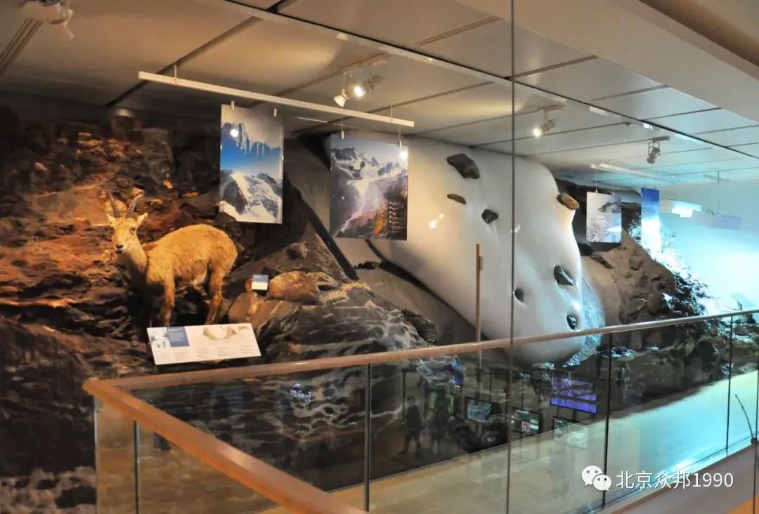 锥体上滚的实验现象_锥体上滚的实际应用_椎体上滚生活应用