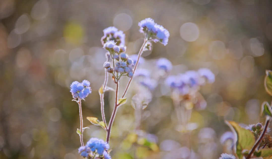 多个逆向思维小故事，幽默且深刻！