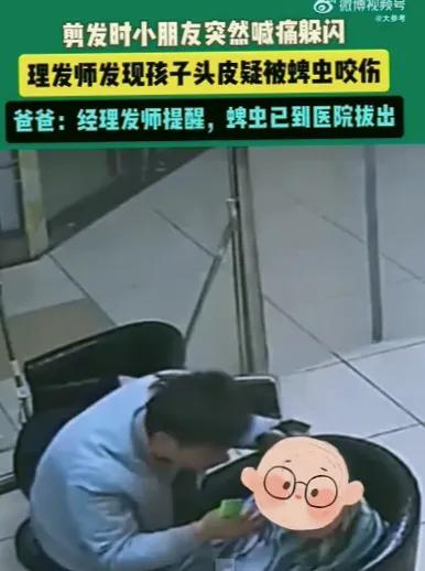 pg下载 孩子被蜱虫叮咬，生生剜掉一块肉！医生：这种“黑点”不是痣！