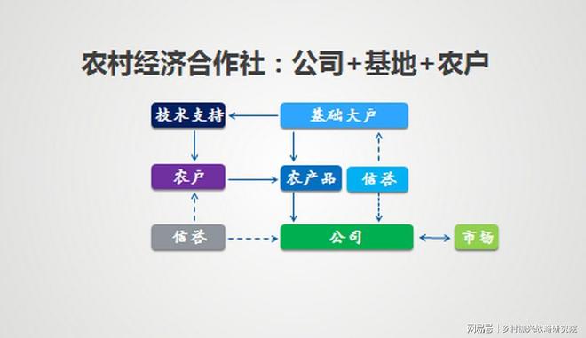 农村合作社运营模式_合作社法律地位与权益保障_合作社成员大会纪要