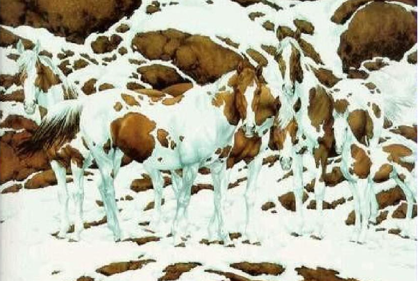 知觉的特征及其运用