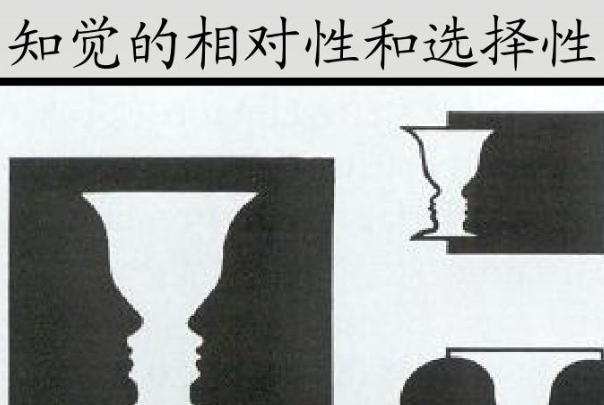 知觉的应用_知觉特性应用的例子_知觉的基本特征 生活应用