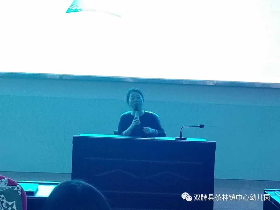 幼儿园开展游戏活动总结_幼儿园游戏专题总结_专题园总结幼儿游戏的特点