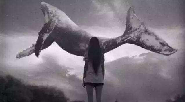 蓝鲸发明者终入狱！梳理蓝鲸自杀游戏事件全程