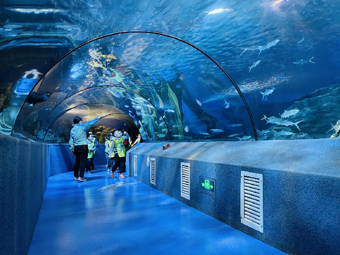 锥体上滚生活应用_锥体上滚日常生活应用_锥体上滚的实际应用