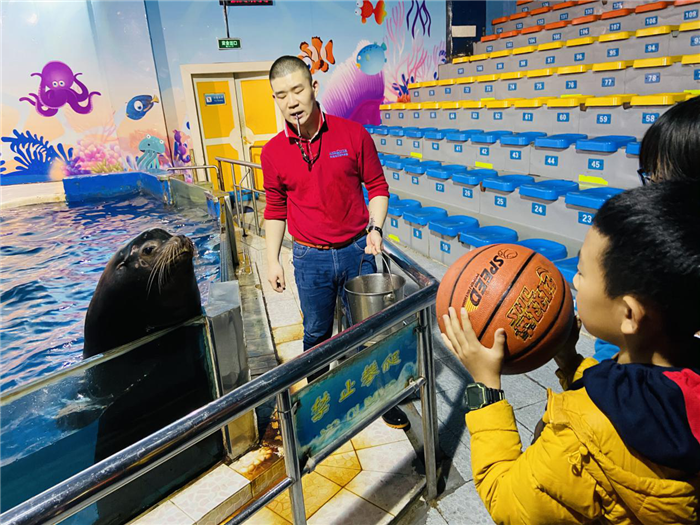 锥体上滚生活应用_锥体上滚的实际应用_锥体上滚日常生活应用