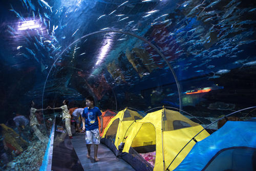 锥体上滚的实际应用_锥体上滚生活应用_锥体上滚日常生活应用