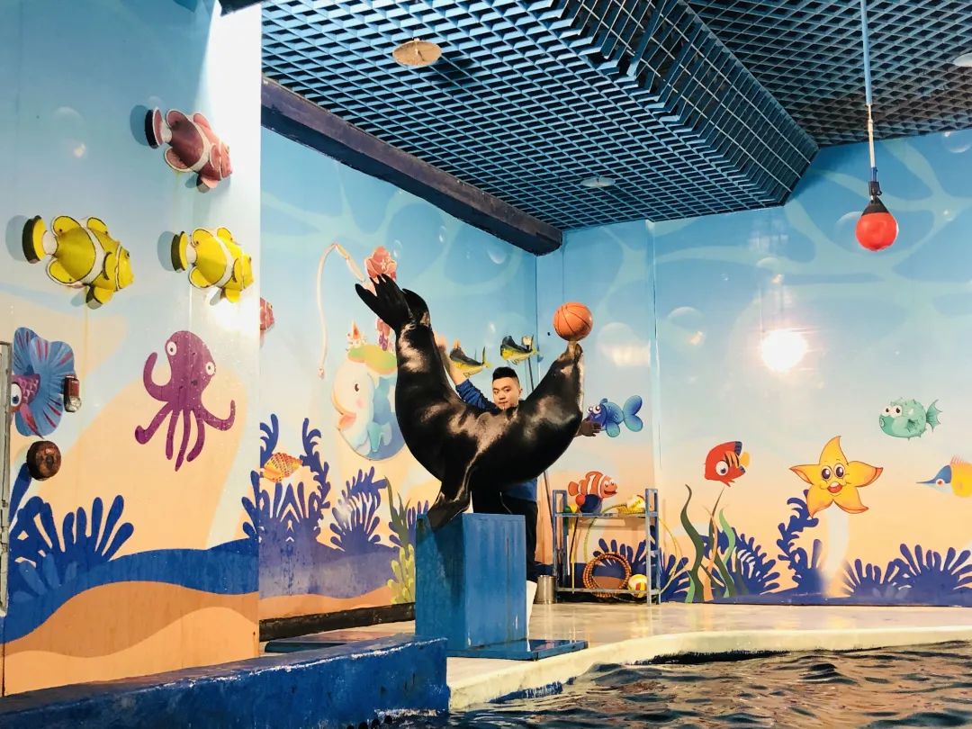 锥体上滚生活应用_锥体上滚日常生活应用_锥体上滚的实际应用