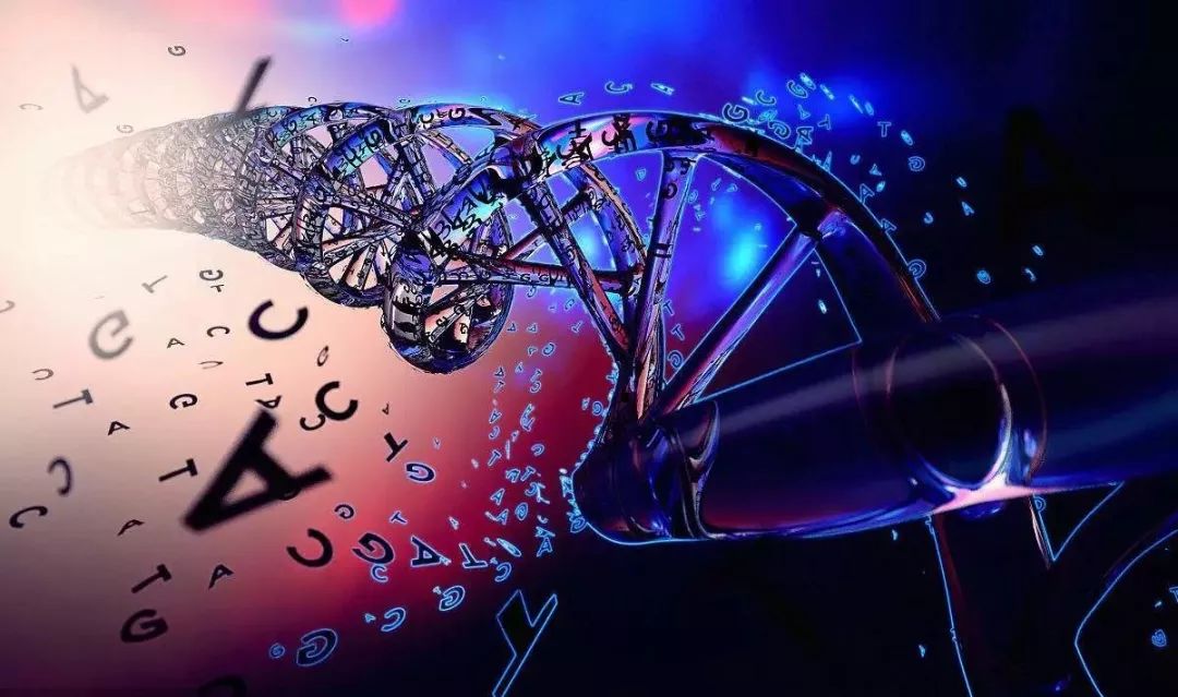 一文读懂遗传算法工作原理（附Python实现）