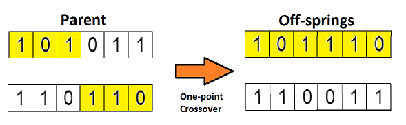 遗传算法原理_遗传算法数据科学应用_遗传算法应用生活实例