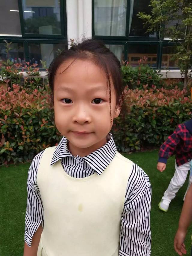 豆宝宝的旅行_豆宝宝旅行记绘本视频_豆宝宝的旅行教案ppt