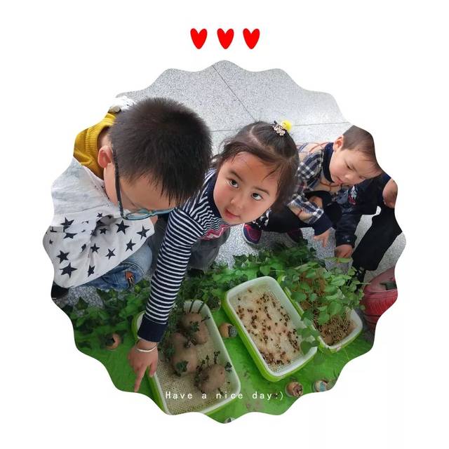 豆宝宝的旅行教案ppt_豆宝宝的旅行_豆宝宝旅行记绘本视频