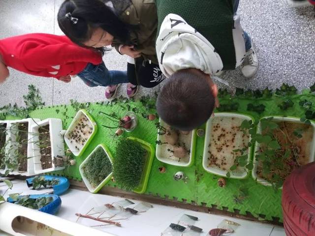 豆宝宝的旅行教案ppt_豆宝宝旅行记绘本视频_豆宝宝的旅行