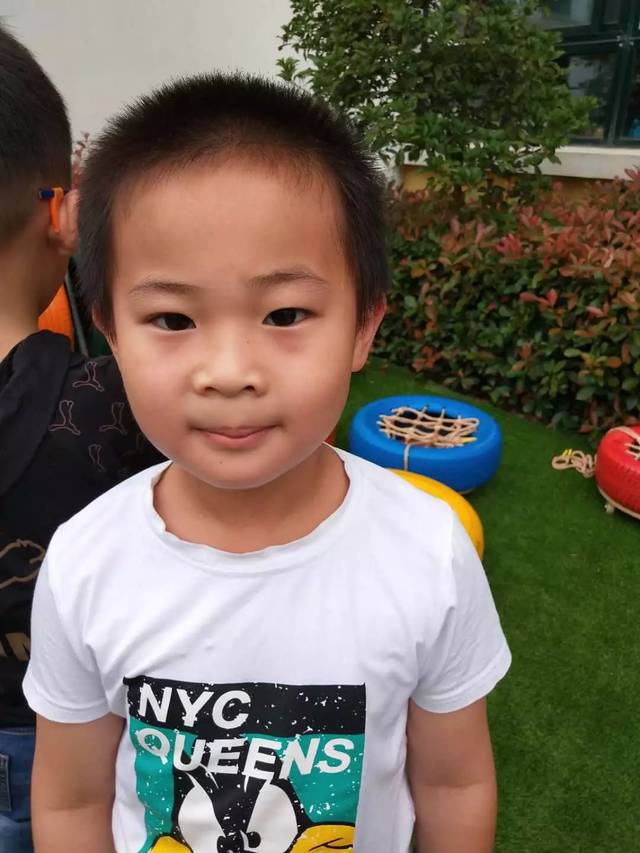 豆宝宝的旅行_豆宝宝旅行记绘本视频_豆宝宝的旅行教案ppt