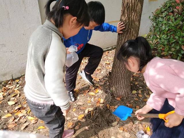 豆宝宝旅行记绘本视频_豆宝宝的旅行教案ppt_豆宝宝的旅行