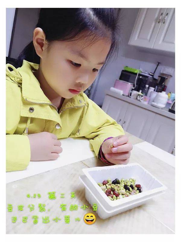 豆宝宝的旅行教案ppt_豆宝宝的旅行_豆宝宝旅行记绘本视频