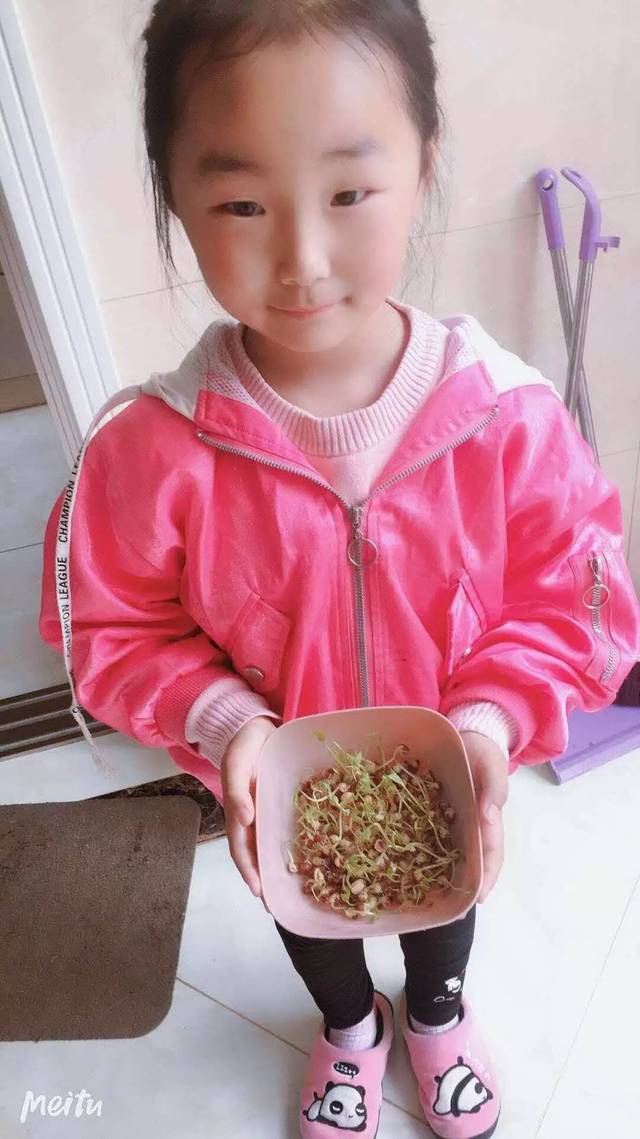 豆宝宝的旅行_豆宝宝旅行记绘本视频_豆宝宝的旅行教案ppt