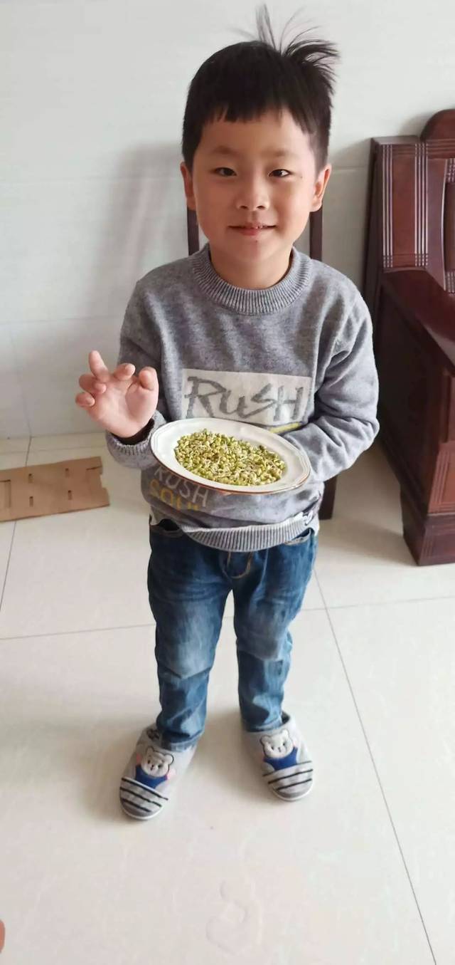 豆宝宝的旅行_豆宝宝旅行记绘本视频_豆宝宝的旅行教案ppt