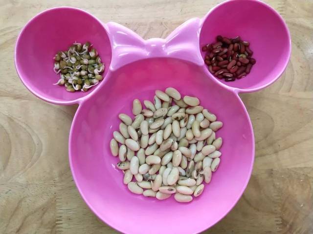 豆宝宝旅行记绘本视频_豆宝宝的旅行教案ppt_豆宝宝的旅行