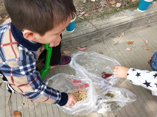 豆宝宝的旅行_豆宝宝旅行记绘本视频_豆宝宝的旅行教案ppt